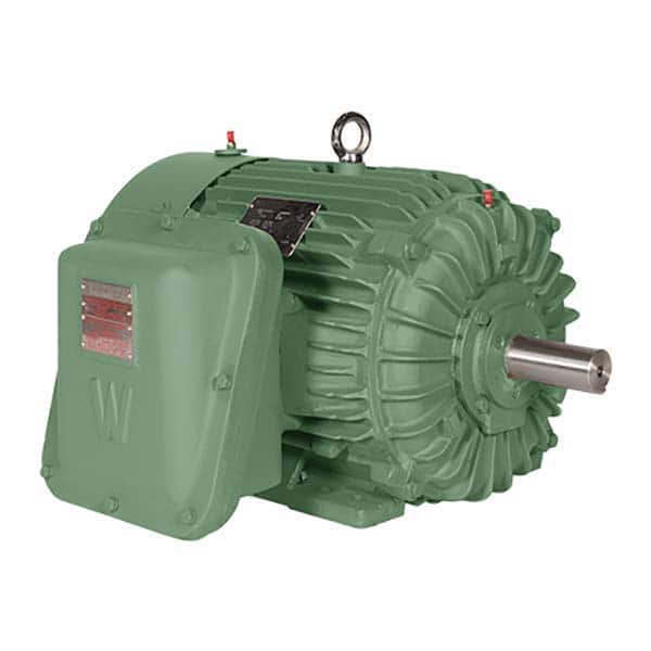 Worldwide Electric - Explosion Proof Motors NEMA Frame: 184T Horsepower: 5 - All Tool & Supply