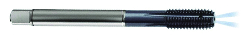 M12 x 1.75 Dia. - 6HX - 5 FL - PM Cobalt Semi-Bott Tap-ALCRN-Coolant-Thru-FORM-C - All Tool & Supply