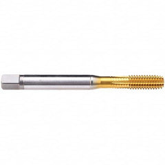 Emuge - 7/8-9 UNC 2B Modified Bottoming Thread Forming Tap - All Tool & Supply