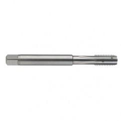 M5 x 0.8 Dia. - 6H - 4 FL - Carbide Semi-Bott Tap - Bright Finish-Coolant-Thru-FORM-C - All Tool & Supply