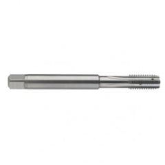 M10 x 1.5 Dia. - 6H - 4 FL - Carbide Semi-Bott Tap - Bright Finish-Coolant-Thru-FORM-C - All Tool & Supply