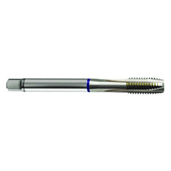 M5 x .80 3FL 6H Cobalt Spiral Point Plug Blue Ring Tap-Bright FORM-B DIN 376 - All Tool & Supply