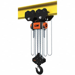 CM - 33,069 Lb Capacity, 20' Lift Height, Manual Chain Hoist - All Tool & Supply