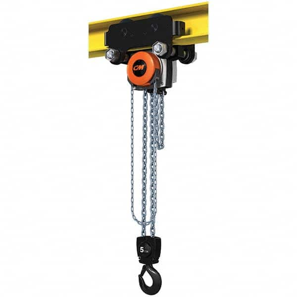 CM - 11,023 Lb Capacity, 30' Lift Height, Manual Chain Hoist - All Tool & Supply