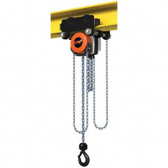 CM - 4,409 Lb Capacity, 20' Lift Height, Manual Chain Hoist - All Tool & Supply