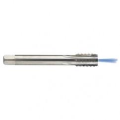 M12 x 1.75 Dia. - 6H - 4 FL - Carbide Semi-Bott Tap - Bright Finish-Coolant-Thru-FORM-C - All Tool & Supply