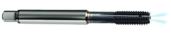 M5 x .80 Dia. - 6HX - 4 FL - Carbide Semi-Bott Tap-TiCN -Coolant-Thru-FORM-C DIN 371 - All Tool & Supply