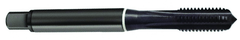 4-40 Dia. - 2B - 3 FL - Cobalt Semi-Bott White Ring Tap - Blk-Ox FORM-C DIN 371 - All Tool & Supply