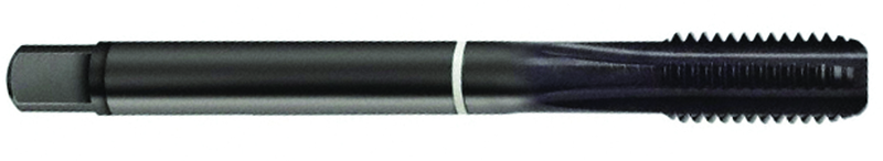 3-56 Dia. - 2B - 3 FL - Cobalt Semi-Bott White Ring Tap - Blk-Ox FORM-C DIN 374 - All Tool & Supply