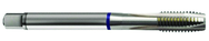 6-40 Dia. - 2B - 3 FL - Cobalt Spiral Point Plug Blue Ring Tap - Bright FORM-B DIN 374 - All Tool & Supply