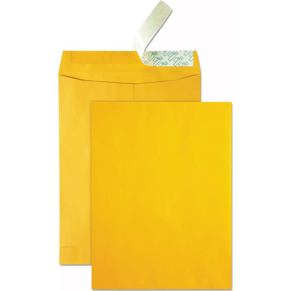 Quality Park - Mailers, Sheets & Envelopes; Type: Catalog Envelope ; Style: Self Seal ; Width (Inch): 12 ; Length (Inch): 9 ; Box Quantity: 250 ; Size: 9 x 12 - Exact Industrial Supply