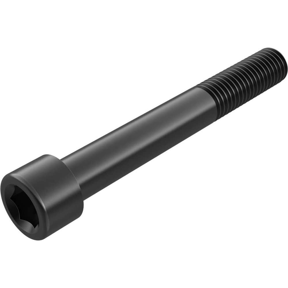 Locking Screw for Indexables: Hex Drive, M12 Thread