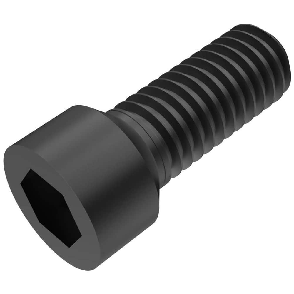 Cassette Screw for Indexables: Hex Drive, M6 Thread