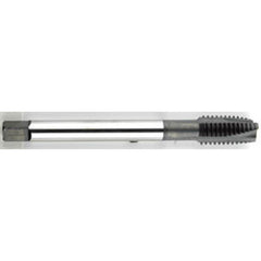 ‎1/4-28 Dia. - GH3 - 3 FL - Premium - HSS - Black Oxide - Plug - Spiral Point Tap Series/List #2088 - All Tool & Supply