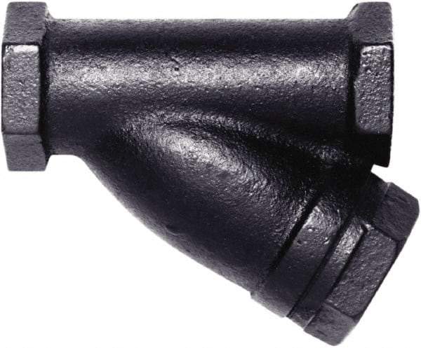 Hoffman Speciality - 1/2" Pipe, Female NPT Ends, Cast Iron Y-Strainer - 250 psi Pressure Rating, 400 psi WOG Rating, 250 psi WSP Rating - All Tool & Supply