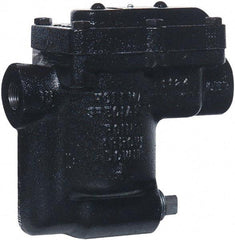 Hoffman Speciality - 2 Port, 3/4" Pipe, Stainless Steel Inverted Bucket Steam Trap - 180 Max psi - All Tool & Supply