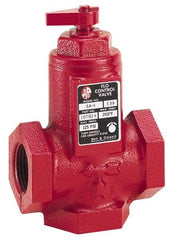 Bell & Gossett - 1-1/2" Pipe, Cast Iron Manually Operated Plumbing Valve - Buna Seal, FNPT - All Tool & Supply