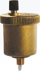 Bell & Gossett - 1/8" Pipe Automatic Air Vent - 150 Max psi, NPTM End Connection - All Tool & Supply