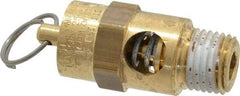 Conrader - 1/4" Inlet, ASME Safety Relief Valve - 125 Max psi, Brass, 116 Cubic' per Min - All Tool & Supply