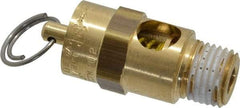 Conrader - 1/4" Inlet, ASME Safety Relief Valve - 60 Max psi, Brass, 61 Cubic' per Min - All Tool & Supply