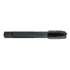 ‎1/4-28 Dia. - H4 - 3 FL - HSS - Surface Treated - Plug - Spiral Point Tap Series/List #2090_ - All Tool & Supply