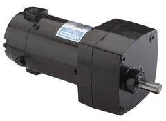 Leeson - 1/15 Max hp, 142 Max RPM, Electric AC DC Motor - 115 V Input, Single Phase, 31 Frame - All Tool & Supply