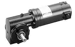 Leeson - 1/15 Max hp, 58 Max RPM, Electric AC DC Motor - 115 V Input, 31C Frame - All Tool & Supply