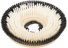 Clarke - 17" Diam Carpet Brush - 17" Machine, Black Pad, Nylon - All Tool & Supply