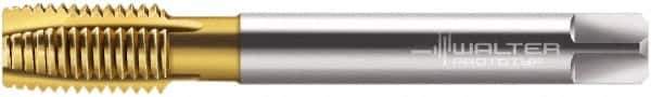 Walter-Prototyp - 1/2-14" BSPP, 4 Flutes, Plug Chamfer, TiN Coated, Cobalt British Standard Pipe Tap - 0.6299" Shank Diam, 0.4724" Square Size, Series P2436005 - Exact Industrial Supply