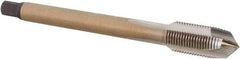 Walter-Prototyp - 1/8-28" BSPP, 3 Flutes, Plug Chamfer, Bright Finish, Cobalt British Standard Pipe Tap - 0.2756" Shank Diam, 0.2165" Square Size, Series P24360 - Exact Industrial Supply