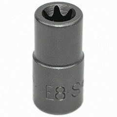 SK - Hand Socket - All Tool & Supply