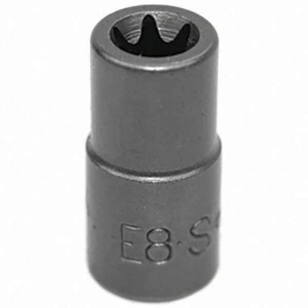 SK - Hand Socket - All Tool & Supply