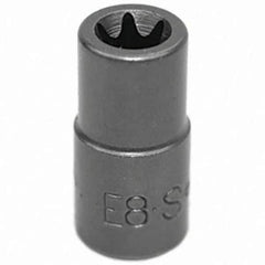 SK - Hand Socket - All Tool & Supply