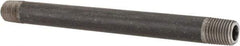 Made in USA - Schedule 80, 1/4" Diam x 6" Long Steel Black Pipe Nipple - Threaded - All Tool & Supply