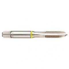 42377 2B 4-Flute Cobalt Yellow Ring Spiral Point Plug Tap-Bright - All Tool & Supply