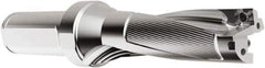 Seco - 45.21mm Max Drill Depth, 3xD, 15.09mm Diam, Indexable Insert Drill - 2 Inserts, 1" Shank Diam, Straight Shank - All Tool & Supply