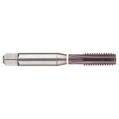 M12 x 1.75 Dia. - 6H - 4 FL - Cobalt Straight Flute Semi-Bott White Ring Tap - Firex - All Tool & Supply