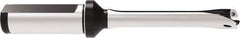 Allied Machine and Engineering - Series 13, 13 to 13.99mm Diam, 3/4" Diam Straight Shank with Flange, Straight Flute Spade Drill - 1-61/93" Max Depth, 4-43/51" OAL, Standard Length, Through Coolant - All Tool & Supply