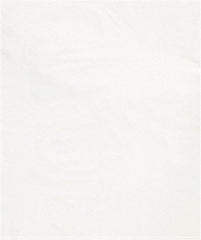 Value Collection - 15 x 18", 2 mil Flat Polybags - White - All Tool & Supply