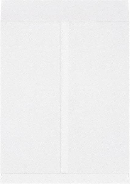 Made in USA - 20" Long x 16" Wide Regular Jumbo Envelope - White - All Tool & Supply