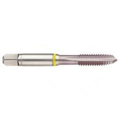 41828 2B 4-Flute Cobalt Yellow Ring Spiral Point Plug Tap-MolyGlide - All Tool & Supply