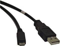 Tripp-Lite - 6' Long, USB A/B Computer Cable - Beige, Male x Male - All Tool & Supply