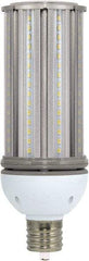 Value Collection - 45 Watt LED Commercial/Industrial Mogul Lamp - 5,000°K Color Temp, 5,400 Lumens, 100, 277 Volts, Ex39, 50,000 hr Avg Life - All Tool & Supply