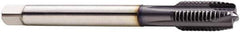 Seco - M20x2.50 Metric, 4 Flute, TiCN Finish, Cobalt Spiral Point Tap - Plug Chamfer, Right Hand Thread, 140mm OAL, 30mm Thread Length, 16mm Shank Diam, 6H Class of Fit - Exact Industrial Supply