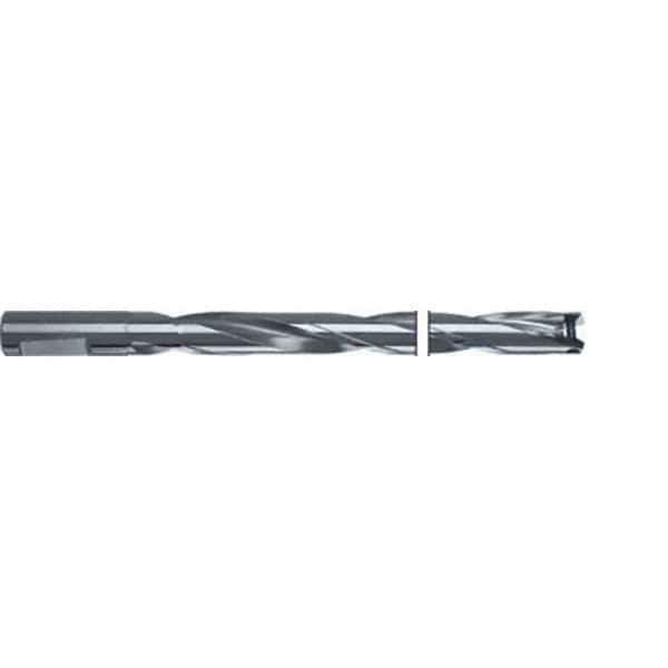 Guhring - 29.5mm Max Diam, 10xD, 32mm Shank Diam, 418mm OAL, Replaceable Tip Drill - HT 800 WP Insert, 29.500 HT800 Toolholder, Series 4110 - All Tool & Supply