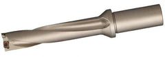 Sumitomo - 3.868" Max Drill Depth, 5xD, 3/4" Diam, Indexable Insert Drill - 2 Inserts, 1" Shank Diam, Straight Shank - All Tool & Supply