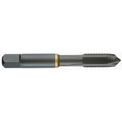 ‎6-40 H2 COB PLUG POWERTAP-OXIDE - All Tool & Supply