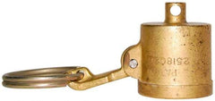 EVER-TITE Coupling Products - 1" Brass Cam & Groove Suction & Discharge Hose Dust Cap For Use with Adapters - Part DC, 350 Max psi - All Tool & Supply