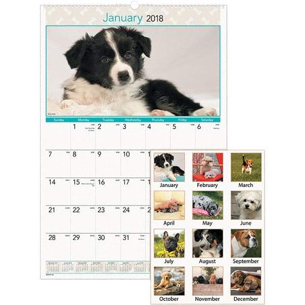 AT-A-GLANCE - 12 Sheet, 15-1/2 x 22-3/4", Wall Calendar - Puppies - All Tool & Supply