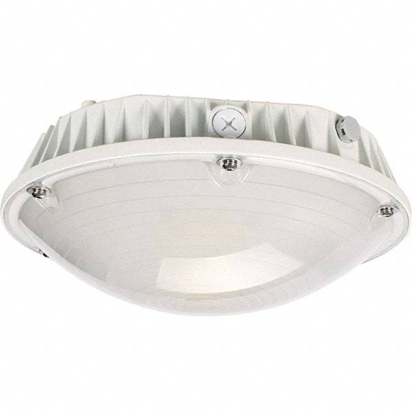 Eiko Global - 60 Watt LED Entry Light - Frosted Polycarbonate Lens, Mogul Base, Pendant & Surface Mount, 120 to 277 Volts, IP65 Ingress Protection, 290mm Long x 114mm High - All Tool & Supply